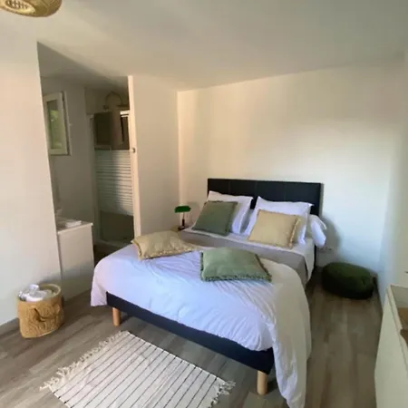 Spacious House With Garden And Pool Holiday home Arcachon