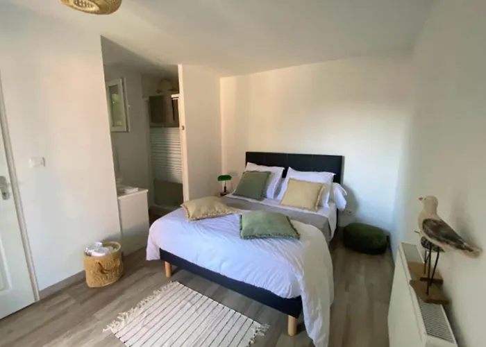 Spacious House With Garden And Pool Будинок відпочинку Аркашон